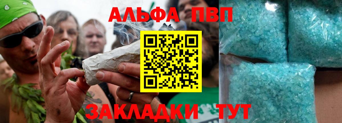 A PVP СК КРИС Балтийск