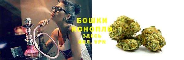 каннабис Арсеньев