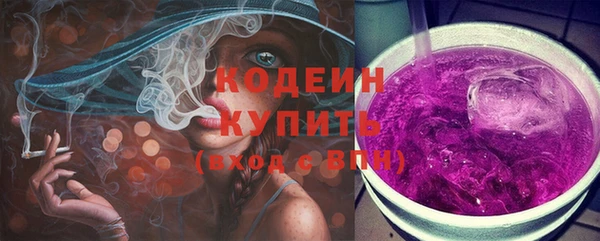 дмт Гусев