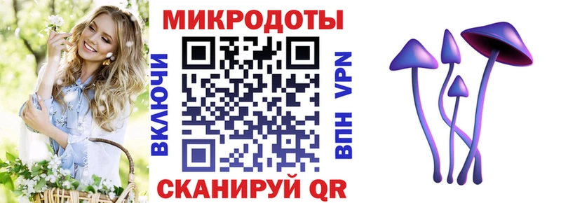 мориарти клад  Балтийск  Галлюциногенные грибы прущие грибы  наркотики  omg tor 