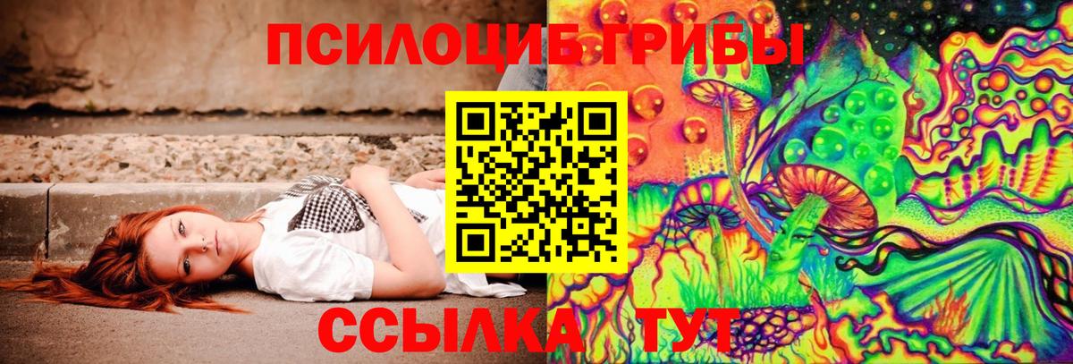 Псилоцибиновые грибы GOLDEN TEACHER Балтийск